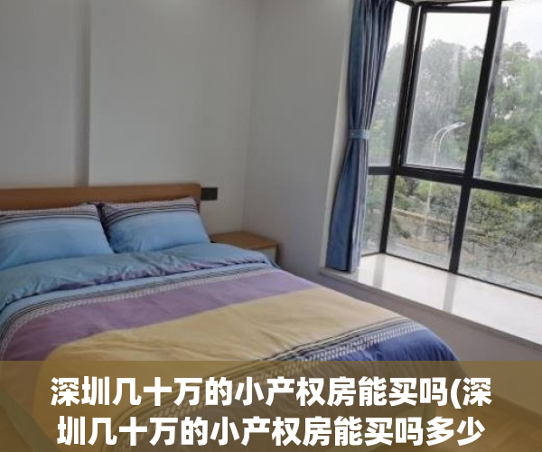 深圳几十万的小产权房能买吗(深圳几十万的小产权房能买吗多少钱)