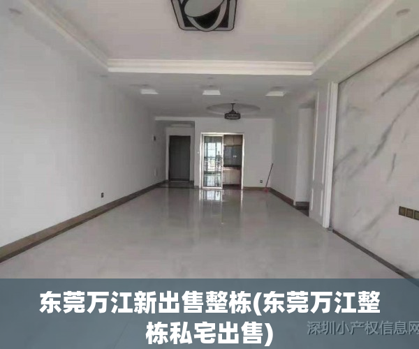 东莞万江新出售整栋(东莞万江整栋私宅出售)