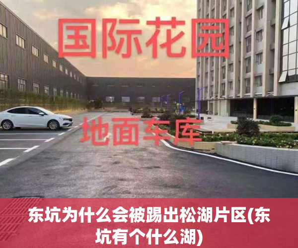 东坑为什么会被踢出松湖片区(东坑有个什么湖)