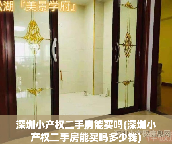 深圳小产权二手房能买吗(深圳小产权二手房能买吗多少钱)
