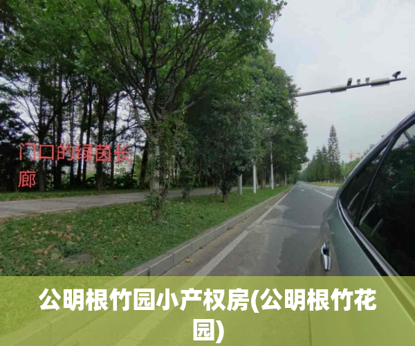 公明根竹园小产权房(公明根竹花园)