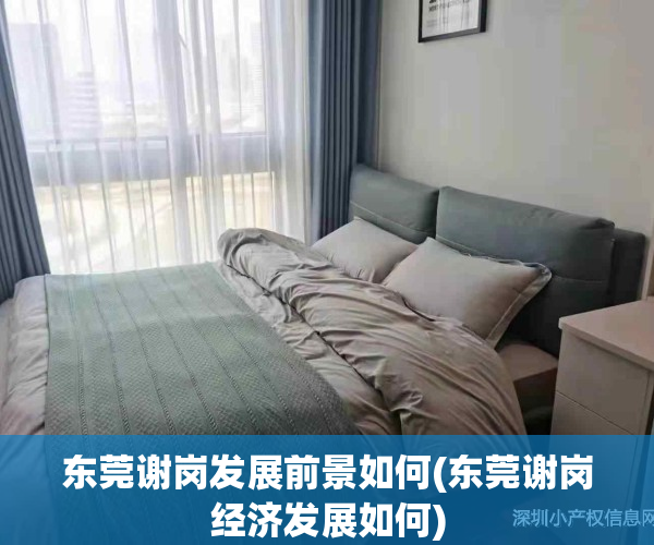 东莞谢岗发展前景如何(东莞谢岗经济发展如何)