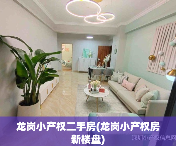 龙岗小产权二手房(龙岗小产权房新楼盘)