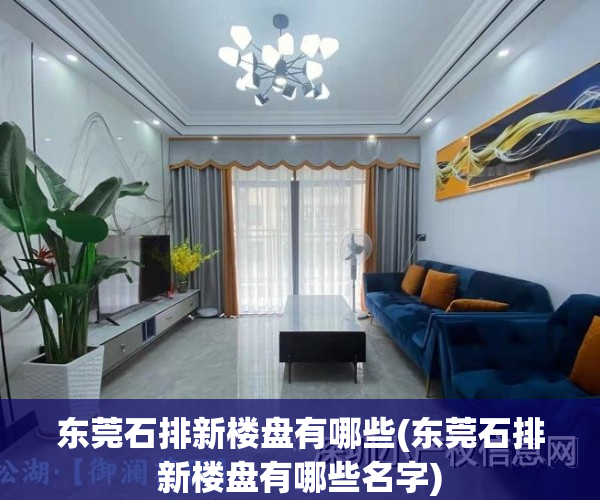 东莞石排新楼盘有哪些(东莞石排新楼盘有哪些名字)