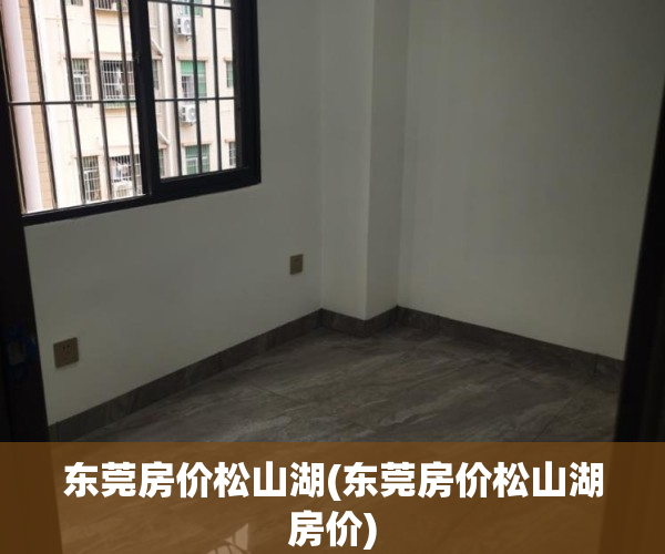 东莞房价松山湖(东莞房价松山湖房价)