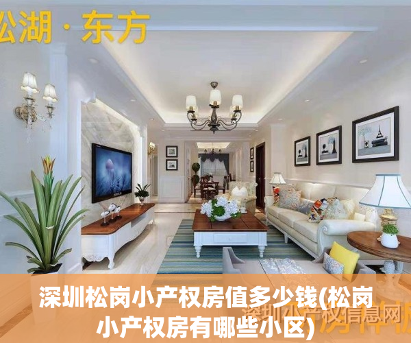 深圳松岗小产权房值多少钱(松岗小产权房有哪些小区)