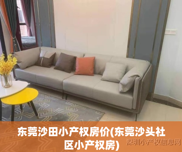 东莞沙田小产权房价(东莞沙头社区小产权房)