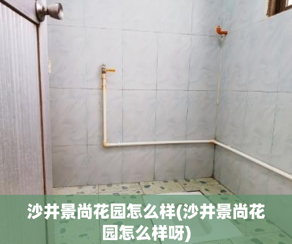 沙井景尚花园怎么样(沙井景尚花园怎么样呀)