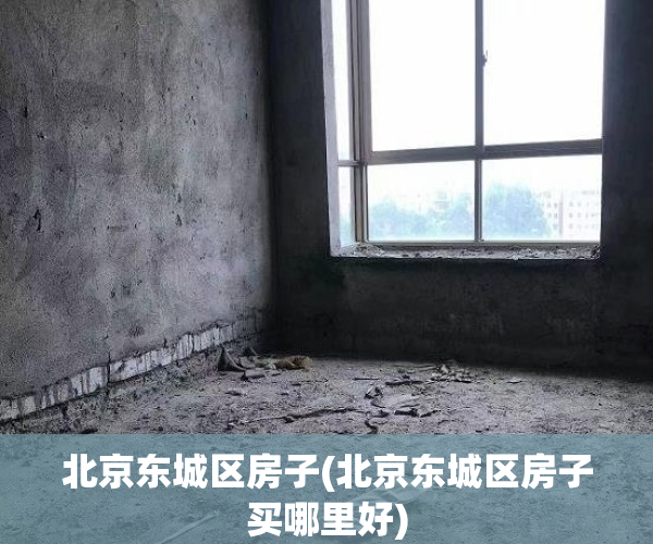 北京东城区房子(北京东城区房子买哪里好)
