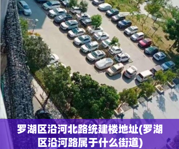 罗湖区沿河北路统建楼地址(罗湖区沿河路属于什么街道)