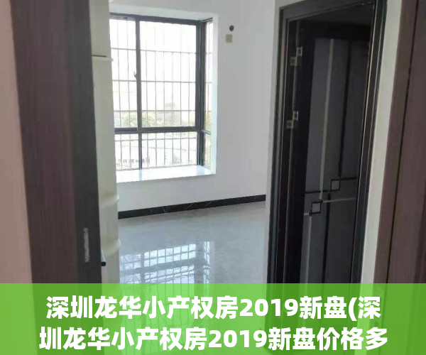 深圳龙华小产权房2019新盘(深圳龙华小产权房2019新盘价格多少)