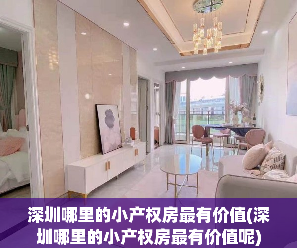 深圳哪里的小产权房最有价值(深圳哪里的小产权房最有价值呢)