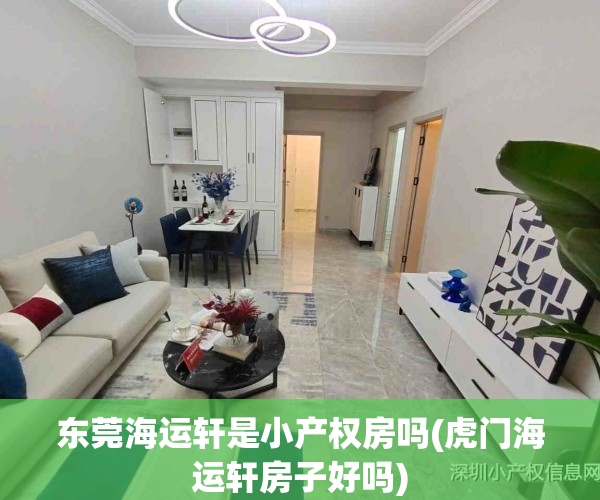 东莞海运轩是小产权房吗(虎门海运轩房子好吗)