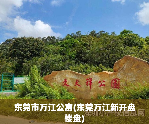 东莞市万江公寓(东莞万江新开盘楼盘)