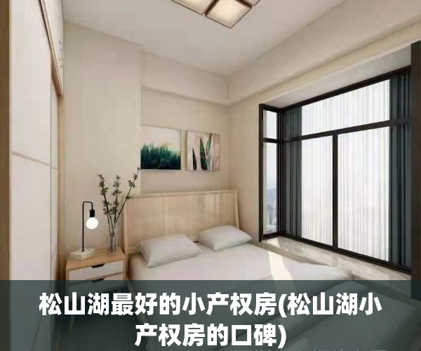 松山湖最好的小产权房(松山湖小产权房的口碑)