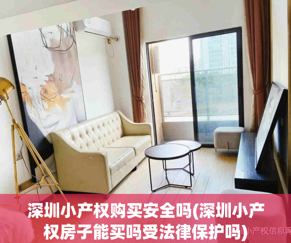 深圳小产权购买安全吗(深圳小产权房子能买吗受法律保护吗)