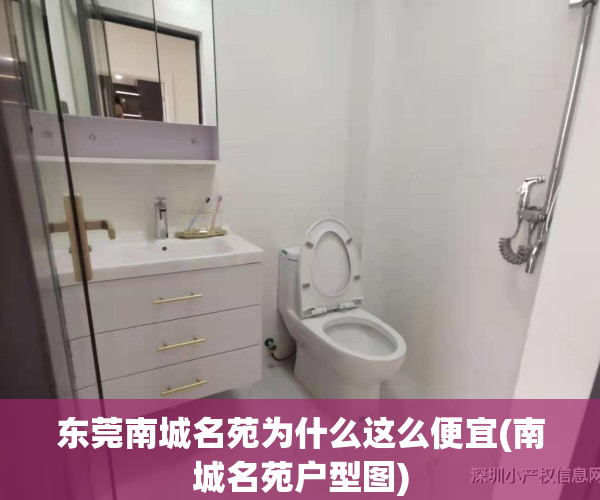 东莞南城名苑为什么这么便宜(南城名苑户型图)