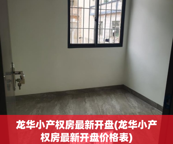 龙华小产权房最新开盘(龙华小产权房最新开盘价格表)