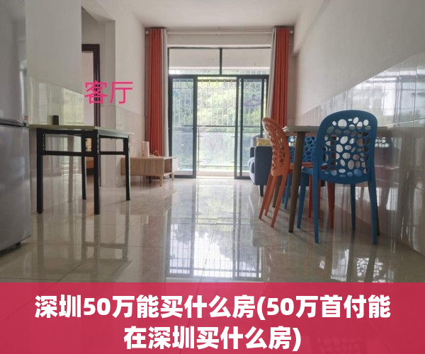 深圳50万能买什么房(50万首付能在深圳买什么房)