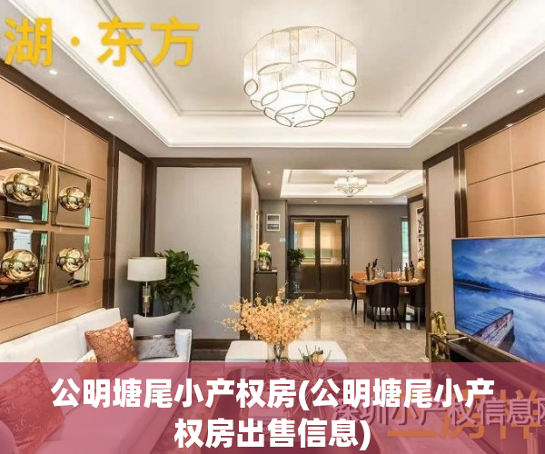 公明塘尾小产权房(公明塘尾小产权房出售信息)