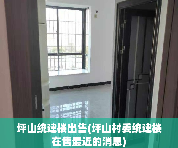 坪山统建楼出售(坪山村委统建楼在售最近的消息)