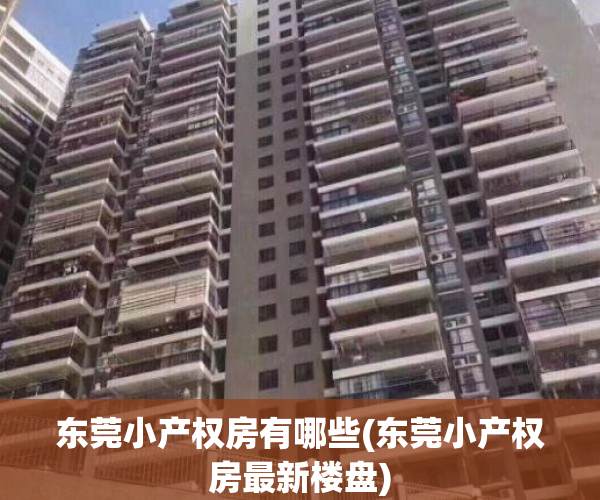 东莞小产权房有哪些(东莞小产权房最新楼盘)