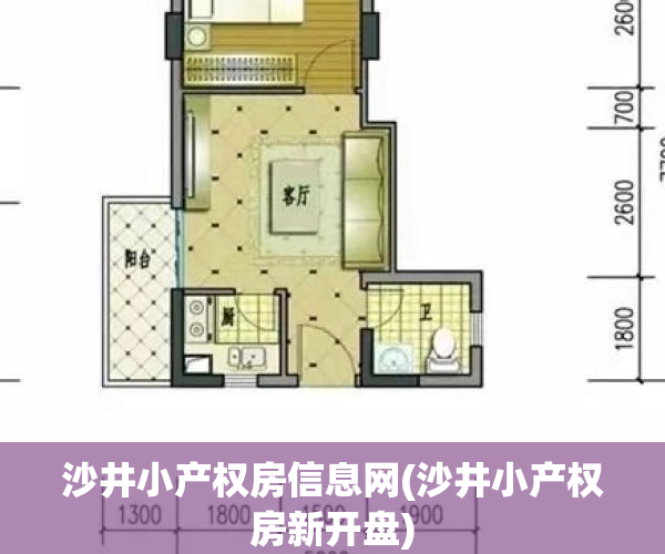 沙井小产权房信息网(沙井小产权房新开盘)
