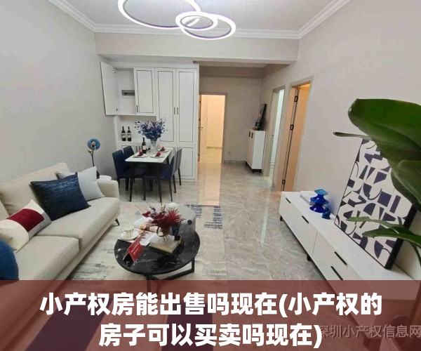 小产权房能出售吗现在(小产权的房子可以买卖吗现在)