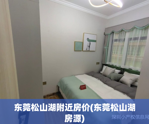 东莞松山湖附近房价(东莞松山湖房源)