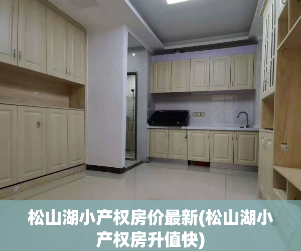 松山湖小产权房价最新(松山湖小产权房升值快)