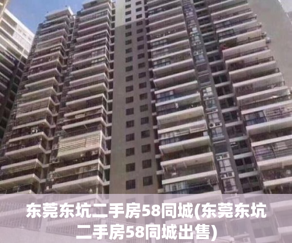 东莞东坑二手房58同城(东莞东坑二手房58同城出售)