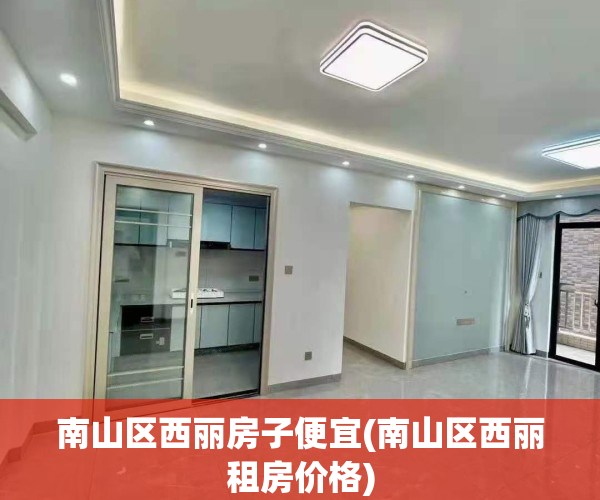 南山区西丽房子便宜(南山区西丽租房价格)