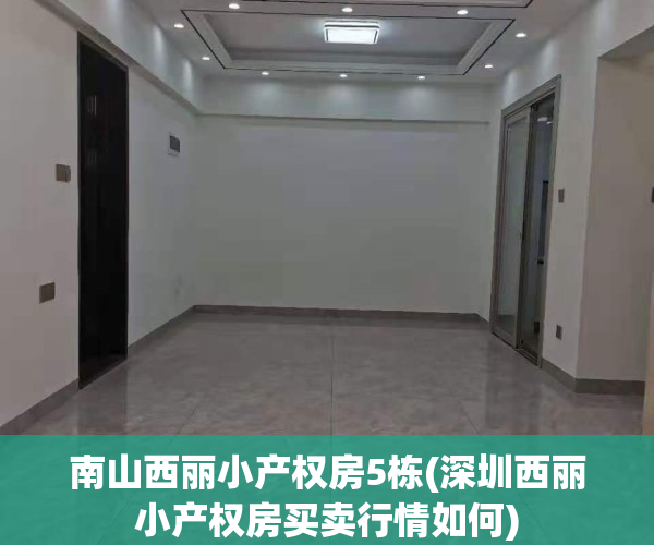 南山西丽小产权房5栋(深圳西丽小产权房买卖行情如何)
