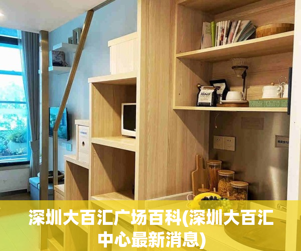 深圳大百汇广场百科(深圳大百汇中心最新消息)