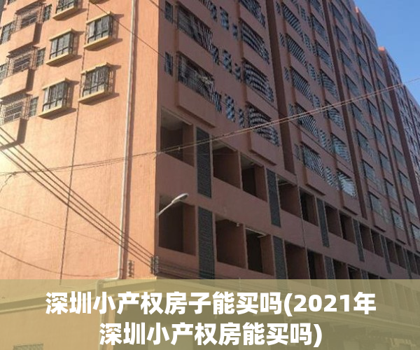 深圳小产权房子能买吗(2021年深圳小产权房能买吗)
