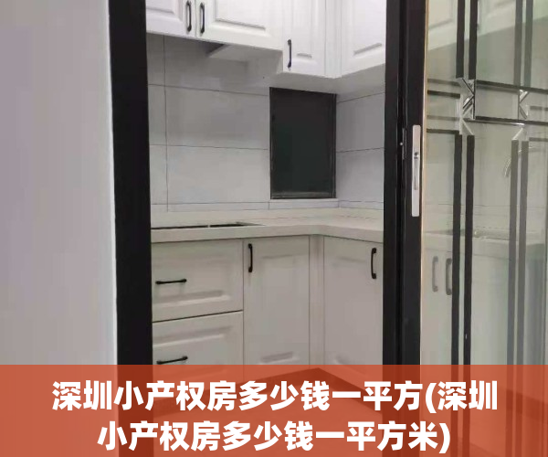 深圳小产权房多少钱一平方(深圳小产权房多少钱一平方米)
