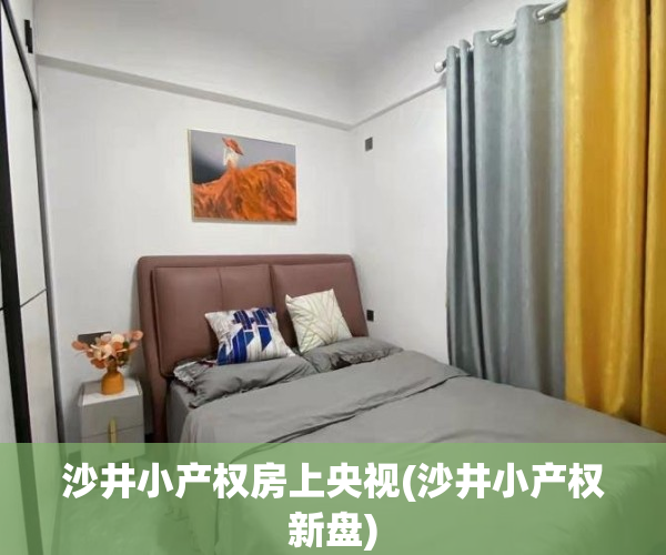 沙井小产权房上央视(沙井小产权新盘)
