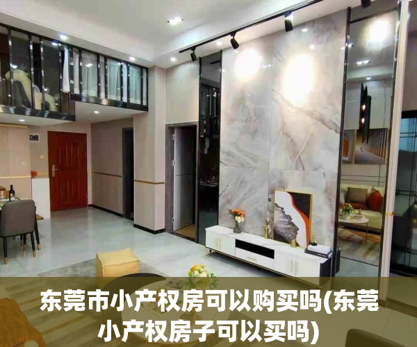 东莞市小产权房可以购买吗(东莞小产权房子可以买吗)
