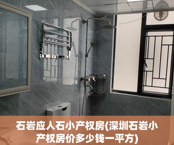 石岩应人石小产权房(深圳石岩小产权房价多少钱一平方)