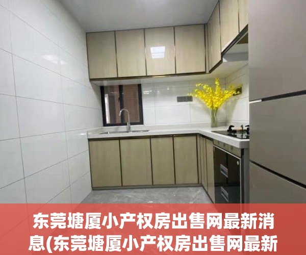 东莞塘厦小产权房出售网最新消息(东莞塘厦小产权房出售网最新消息查询)