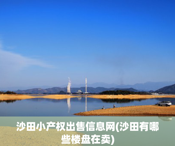 沙田小产权出售信息网(沙田有哪些楼盘在卖)