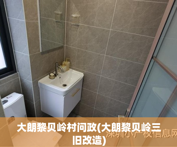大朗黎贝岭村问政(大朗黎贝岭三旧改造)