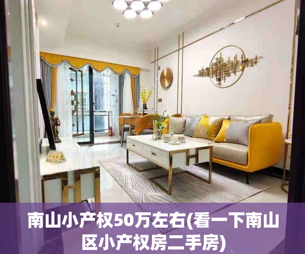 南山小产权50万左右(看一下南山区小产权房二手房)