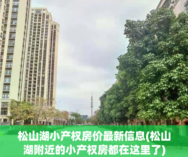 松山湖小产权房价最新信息(松山湖附近的小产权房都在这里了)