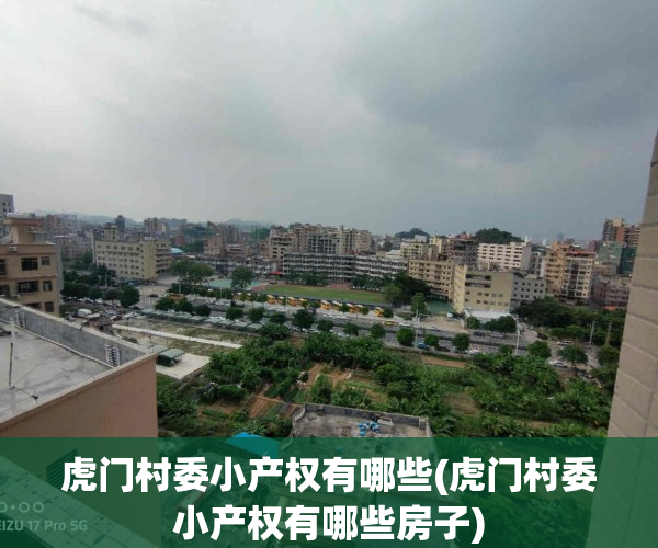 虎门村委小产权有哪些(虎门村委小产权有哪些房子)