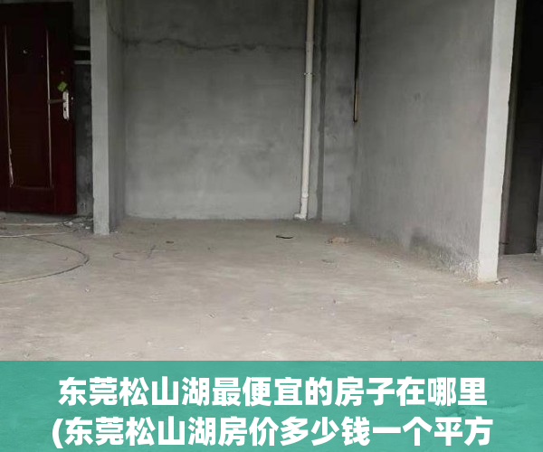 东莞松山湖最便宜的房子在哪里(东莞松山湖房价多少钱一个平方)