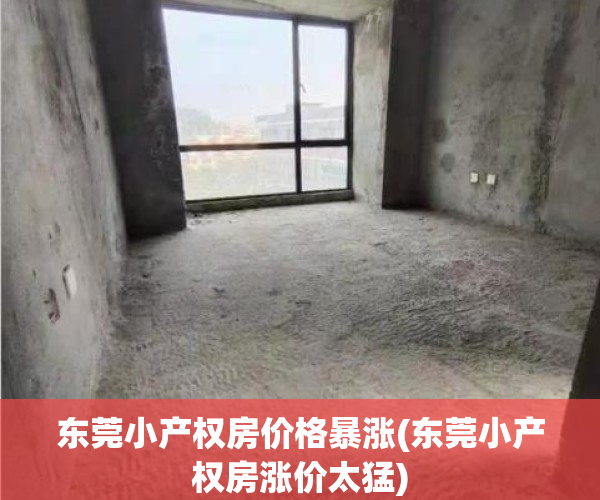 东莞小产权房价格暴涨(东莞小产权房涨价太猛)