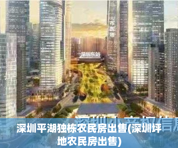 深圳平湖独栋农民房出售(深圳坪地农民房出售)