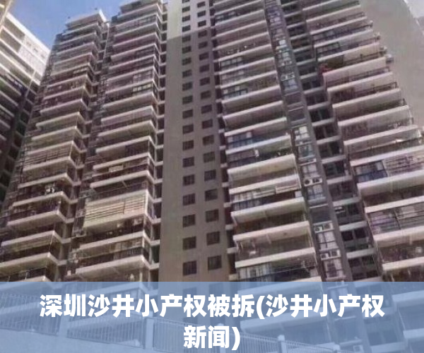 深圳沙井小产权被拆(沙井小产权新闻)