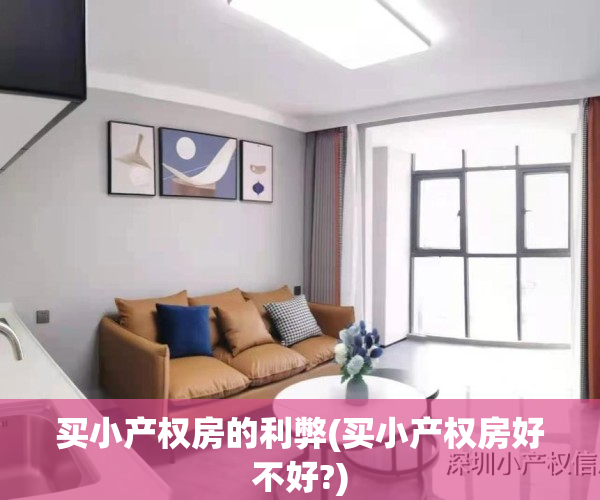 买小产权房的利弊(买小产权房好不好?)